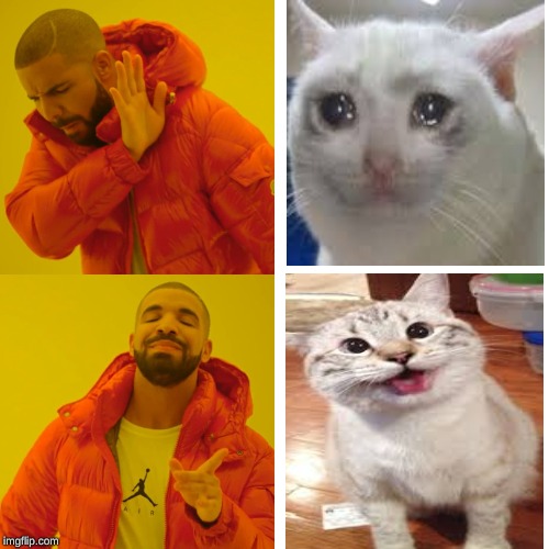 Drake Hotline Bling | image tagged in memes,drake hotline bling | made w/ Imgflip meme maker