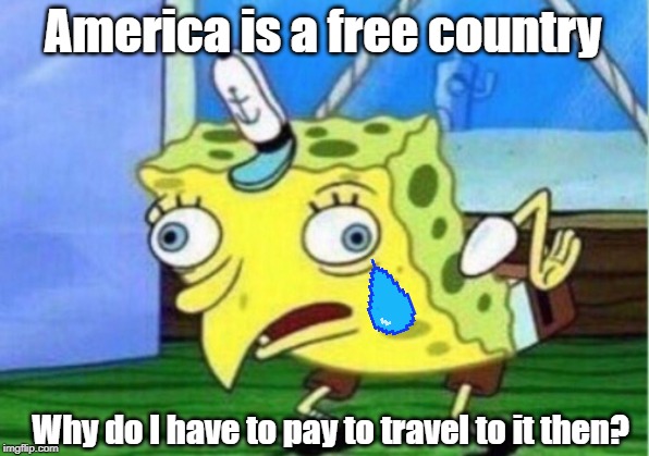 tell me the logic | America is a free country; Why do I have to pay to travel to it then? | image tagged in memes,mocking spongebob | made w/ Imgflip meme maker