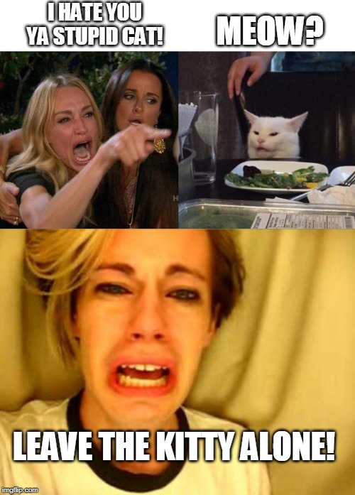 LEAVE HIM ALONE! | I HATE YOU YA STUPID CAT! MEOW? LEAVE THE KITTY ALONE! | image tagged in leave britney alone,memes,woman yelling at cat,cats | made w/ Imgflip meme maker