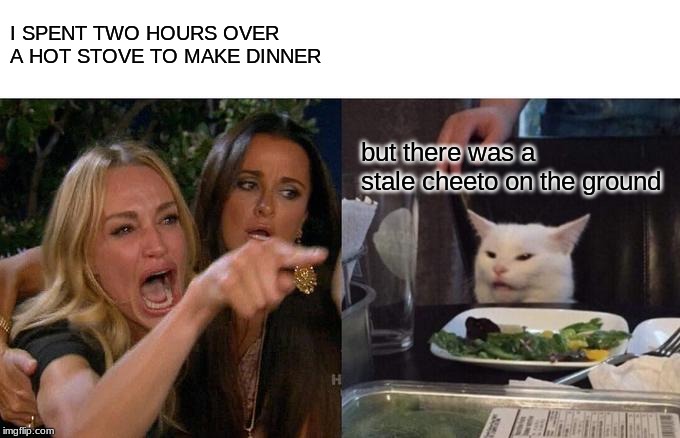 Woman Yelling At Cat Meme | I SPENT TWO HOURS OVER A HOT STOVE TO MAKE DINNER; but there was a stale cheeto on the ground | image tagged in memes,woman yelling at cat | made w/ Imgflip meme maker