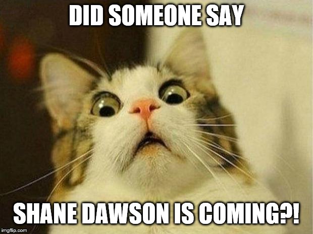 Scared Cat Meme | DID SOMEONE SAY; SHANE DAWSON IS COMING?! | image tagged in memes,scared cat | made w/ Imgflip meme maker