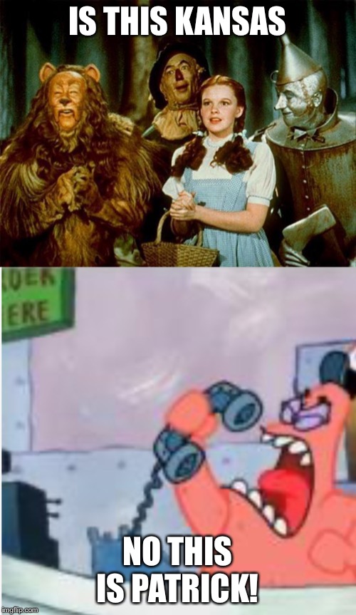  IS THIS KANSAS; NO THIS IS PATRICK! | image tagged in wizard of oz | made w/ Imgflip meme maker