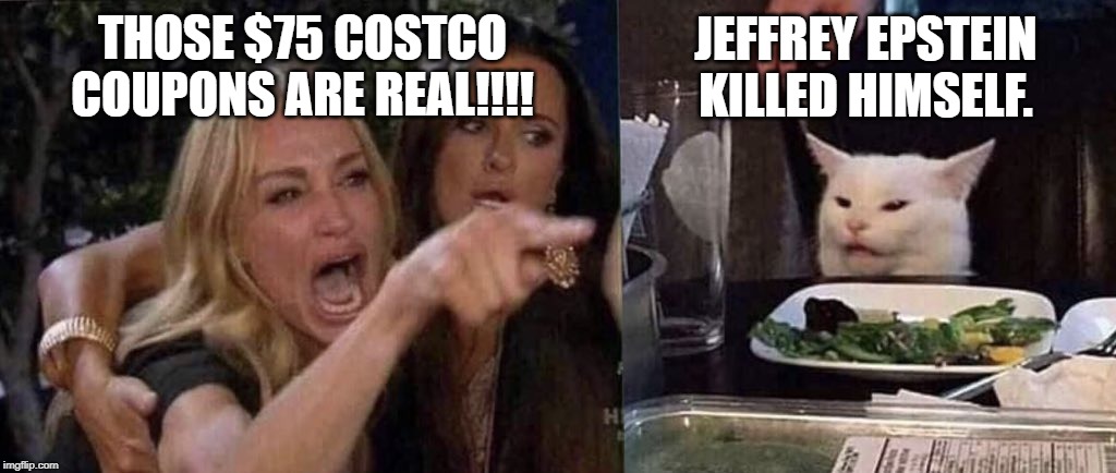 woman yelling at cat | JEFFREY EPSTEIN KILLED HIMSELF. THOSE $75 COSTCO COUPONS ARE REAL!!!! | image tagged in woman yelling at cat | made w/ Imgflip meme maker