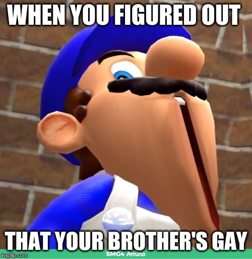 smg4's face | WHEN YOU FIGURED OUT; THAT YOUR BROTHER'S GAY | image tagged in smg4's face | made w/ Imgflip meme maker