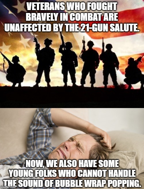 VETERANS WHO FOUGHT BRAVELY IN COMBAT ARE UNAFFECTED BY THE 21-GUN SALUTE. NOW, WE ALSO HAVE SOME YOUNG FOLKS WHO CANNOT HANDLE THE SOUND OF | image tagged in veterans day,millennial | made w/ Imgflip meme maker