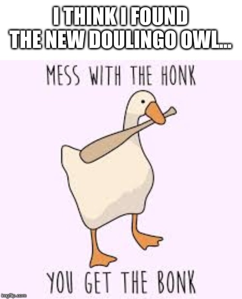 I THINK I FOUND THE NEW DOULINGO OWL... | image tagged in funny | made w/ Imgflip meme maker