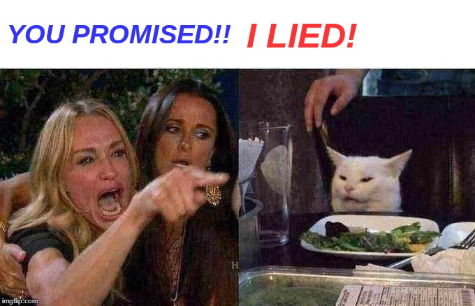 Woman Yelling At Cat | YOU PROMISED!! I LIED! | image tagged in memes,woman yelling at cat | made w/ Imgflip meme maker