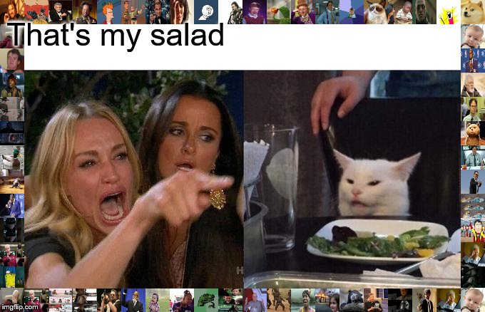 Woman Yelling At Cat Meme | That's my salad | image tagged in memes,woman yelling at cat | made w/ Imgflip meme maker