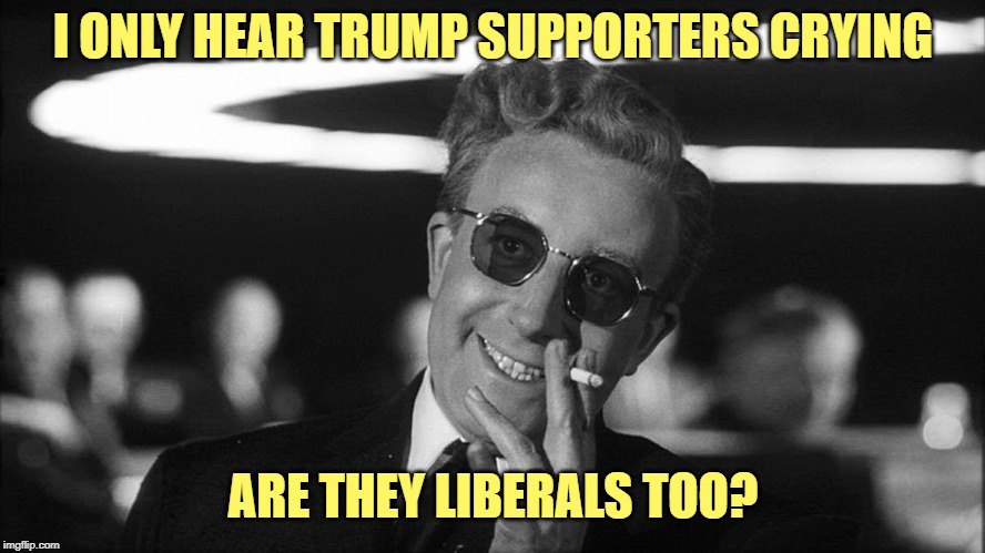 Doctor Strangelove says... | I ONLY HEAR TRUMP SUPPORTERS CRYING ARE THEY LIBERALS TOO? | image tagged in doctor strangelove says | made w/ Imgflip meme maker