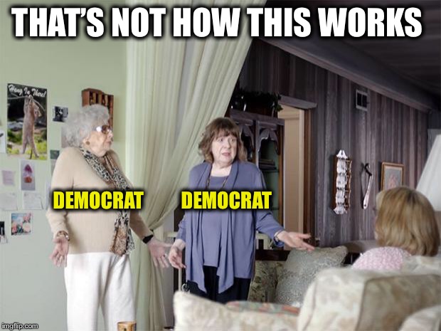 That's Not How Any Of This Works | THAT’S NOT HOW THIS WORKS DEMOCRAT          DEMOCRAT | image tagged in that's not how any of this works | made w/ Imgflip meme maker