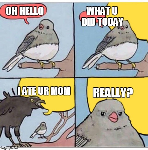 annoyed bird | OH HELLO; WHAT U DID TODAY; REALLY? I ATE UR MOM | image tagged in annoyed bird | made w/ Imgflip meme maker