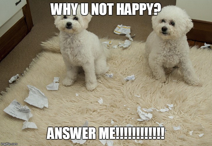 Dog Ate Homework | WHY U NOT HAPPY? ANSWER ME!!!!!!!!!!!! | image tagged in dog ate homework | made w/ Imgflip meme maker