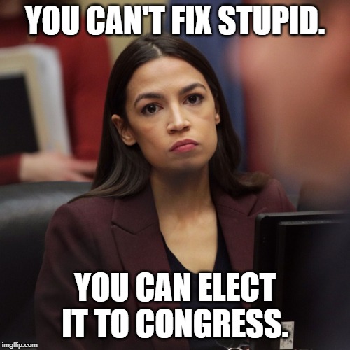 One more AOC meme... | YOU CAN'T FIX STUPID. YOU CAN ELECT IT TO CONGRESS. | image tagged in memes,aoc,stupid,stupid is as stupid does | made w/ Imgflip meme maker