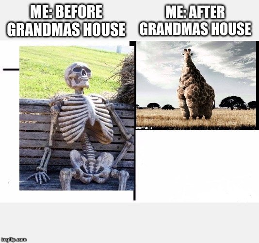 Who Would Win? | ME: BEFORE GRANDMAS HOUSE; ME: AFTER GRANDMAS HOUSE | image tagged in memes,who would win | made w/ Imgflip meme maker