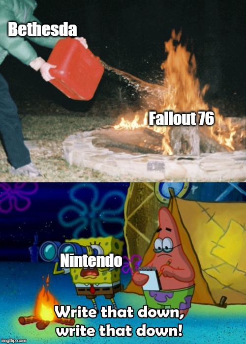Bethesda; Fallout 76; Nintendo | image tagged in fuel to the fire,write that down | made w/ Imgflip meme maker