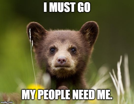 Lord bear | I MUST GO; MY PEOPLE NEED ME. | image tagged in bear,fun,cute,funny,soft,fuzzy | made w/ Imgflip meme maker