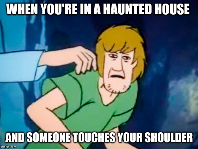 Shaggy meme | WHEN YOU'RE IN A HAUNTED HOUSE; AND SOMEONE TOUCHES YOUR SHOULDER | image tagged in shaggy meme | made w/ Imgflip meme maker