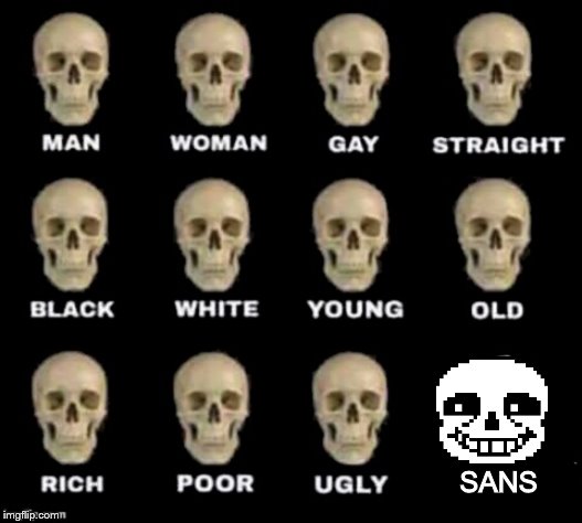 idiot skull | SANS | image tagged in idiot skull | made w/ Imgflip meme maker