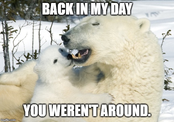 Back in my day | BACK IN MY DAY; YOU WEREN'T AROUND. | image tagged in bear,cute,funny,fun,polar bear,amazing | made w/ Imgflip meme maker