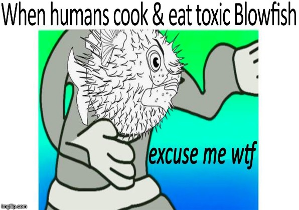 sea food | image tagged in memes | made w/ Imgflip meme maker