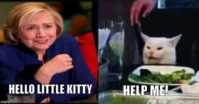 HELLO LITTLE KITTY; HELP ME! | image tagged in hilary | made w/ Imgflip meme maker