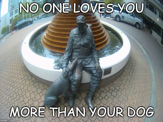 NO ONE LOVES YOU; MORE THAN YOUR DOG | image tagged in dog,love | made w/ Imgflip meme maker