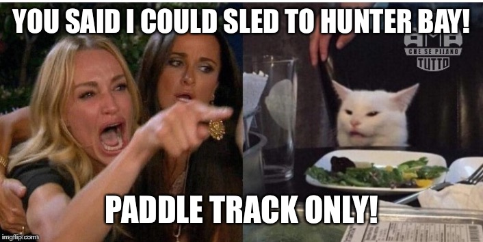 white cat table | YOU SAID I COULD SLED TO HUNTER BAY! PADDLE TRACK ONLY! | image tagged in white cat table | made w/ Imgflip meme maker