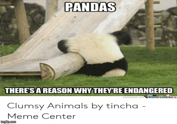 lol | image tagged in memes | made w/ Imgflip meme maker