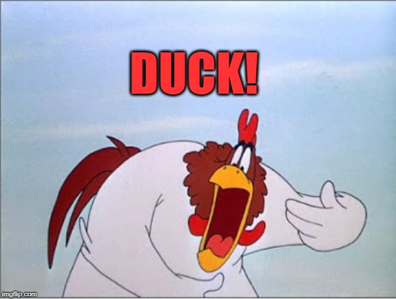 foghorn | DUCK! | image tagged in foghorn | made w/ Imgflip meme maker