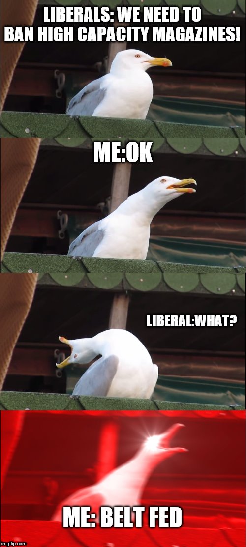 Inhaling Seagull | LIBERALS: WE NEED TO BAN HIGH CAPACITY MAGAZINES! ME:OK; LIBERAL:WHAT? ME: BELT FED | image tagged in memes,inhaling seagull | made w/ Imgflip meme maker