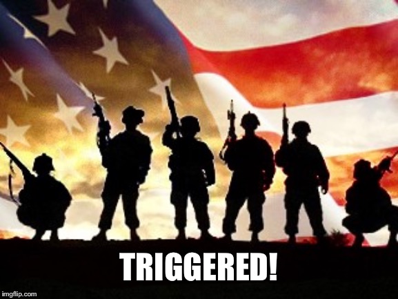 veterans day | TRIGGERED! | image tagged in veterans day | made w/ Imgflip meme maker