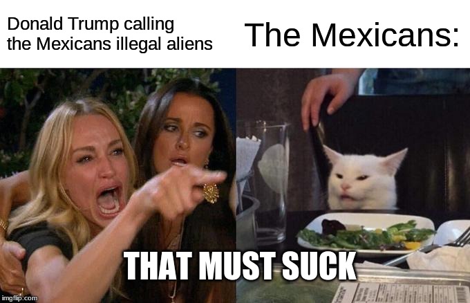 Woman Yelling At Cat Meme | Donald Trump calling the Mexicans illegal aliens; The Mexicans:; THAT MUST SUCK | image tagged in memes,woman yelling at cat | made w/ Imgflip meme maker