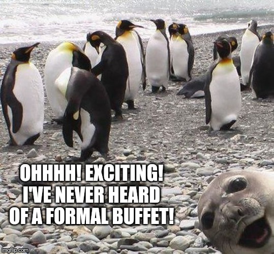 OHHHH! EXCITING! I'VE NEVER HEARD OF A FORMAL BUFFET! | image tagged in seal,penguin,funny,animals,photobombs | made w/ Imgflip meme maker