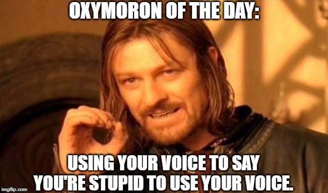 One Does Not Simply Meme | OXYMORON OF THE DAY: USING YOUR VOICE TO SAY YOU'RE STUPID TO USE YOUR VOICE. | image tagged in memes,one does not simply | made w/ Imgflip meme maker