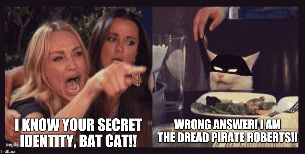 WRONG ANSWER! I AM THE DREAD PIRATE ROBERTS!! I KNOW YOUR SECRET IDENTITY, BAT CAT!! | image tagged in cats,pirates,the princess bride | made w/ Imgflip meme maker
