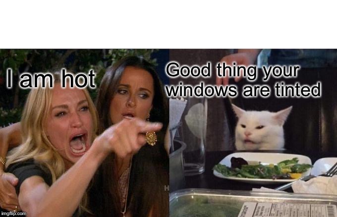 Woman Yelling At Cat | I am hot; Good thing your windows are tinted | image tagged in memes,woman yelling at cat | made w/ Imgflip meme maker