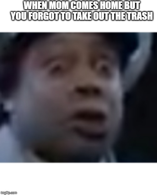 Kenan Thompson Surprised | WHEN MOM COMES HOME BUT YOU FORGOT TO TAKE OUT THE TRASH | image tagged in kenan thompson surprised | made w/ Imgflip meme maker