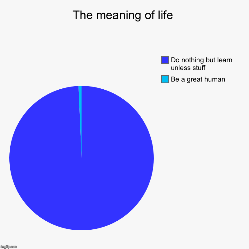 The meaning of life | Be a great human , Do nothing but learn unless stuff | image tagged in charts,pie charts | made w/ Imgflip chart maker