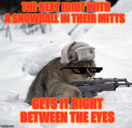 Cute Sad Soviet War Kitten | THE NEXT IDIOT WITH A SNOWBALL IN THEIR MITTS; GETS IT RIGHT BETWEEN THE EYES | image tagged in cute sad soviet war kitten | made w/ Imgflip meme maker