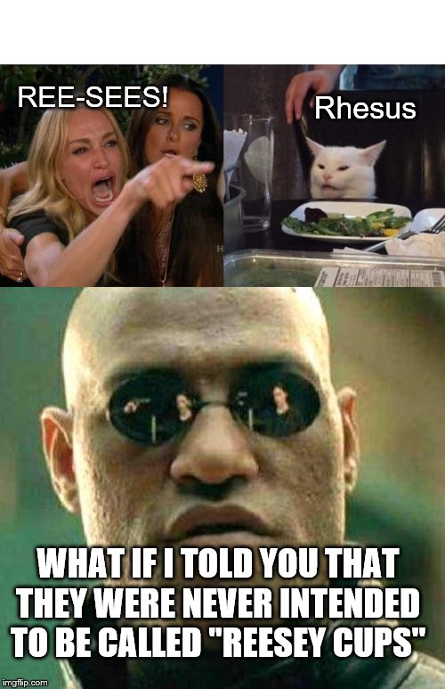 does anyone really know where that even started?? | Rhesus; REE-SEES! WHAT IF I TOLD YOU THAT THEY WERE NEVER INTENDED TO BE CALLED "REESEY CUPS" | image tagged in what if i told you,memes,woman yelling at cat,reese's,peanut butter | made w/ Imgflip meme maker