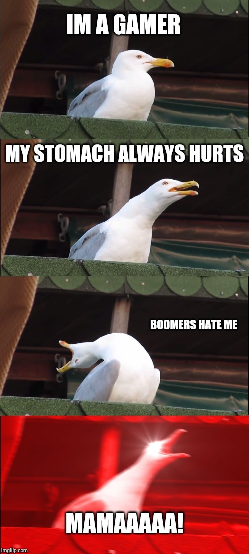 Inhaling Seagull Meme | IM A GAMER; MY STOMACH ALWAYS HURTS; BOOMERS HATE ME; MAMAAAAA! | image tagged in memes,inhaling seagull | made w/ Imgflip meme maker