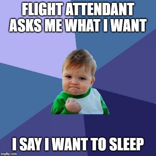 Success Kid | FLIGHT ATTENDANT ASKS ME WHAT I WANT; I SAY I WANT TO SLEEP | image tagged in memes,success kid | made w/ Imgflip meme maker