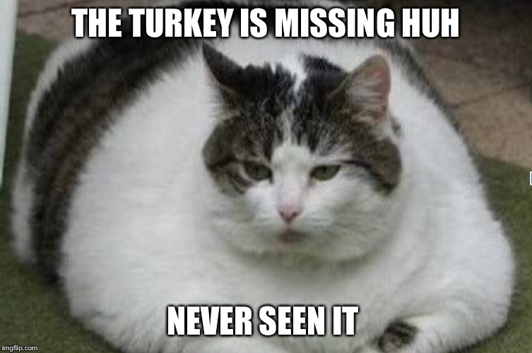 Fat cat | THE TURKEY IS MISSING HUH; NEVER SEEN IT | image tagged in fat cat | made w/ Imgflip meme maker