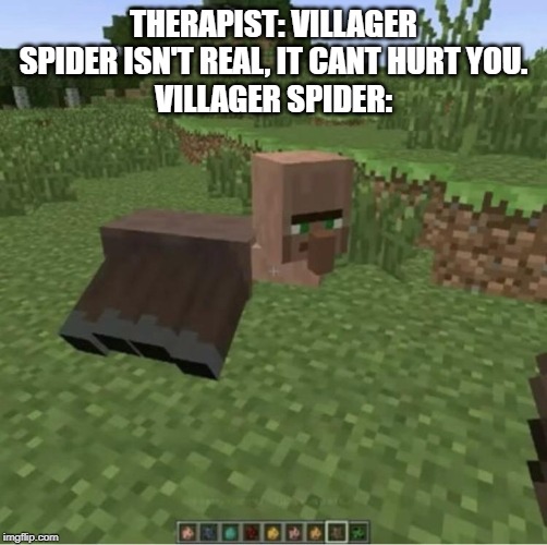 THERAPIST: VILLAGER SPIDER ISN'T REAL, IT CANT HURT YOU.
VILLAGER SPIDER: | image tagged in video games,wtf | made w/ Imgflip meme maker