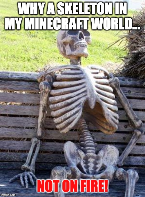 Skeleton In Creative Mode.. | WHY A SKELETON IN MY MINECRAFT WORLD... NOT ON FIRE! | image tagged in memes,waiting skeleton,minecraft,skeleton,skeleton waiting | made w/ Imgflip meme maker