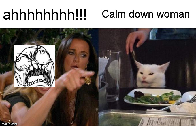 Woman Yelling At Cat | ahhhhhhhh!!! Calm down woman | image tagged in memes,woman yelling at cat | made w/ Imgflip meme maker