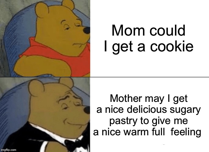 Tuxedo Winnie The Pooh | Mom could I get a cookie; Mother may I get a nice delicious sugary pastry to give me a nice warm full  feeling | image tagged in memes,tuxedo winnie the pooh | made w/ Imgflip meme maker