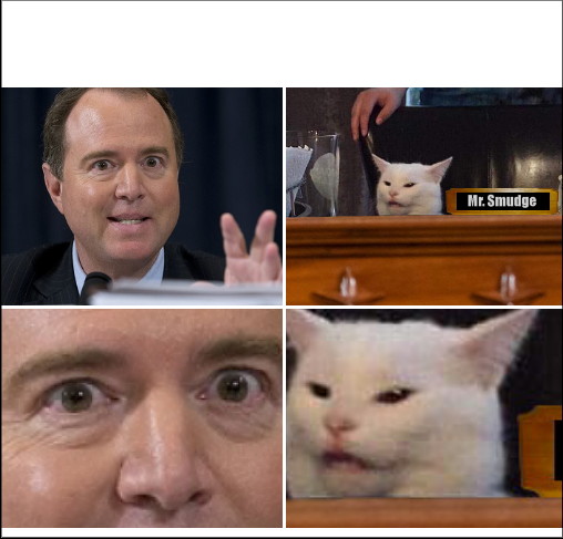 Schiff yelling at cat Blank Meme Template