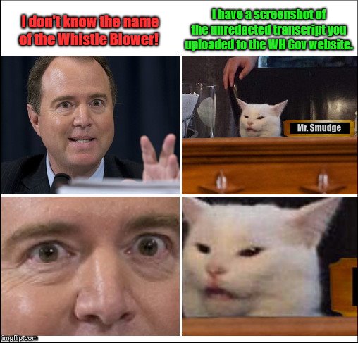 Adam Schiff yelling at cat | I have a screenshot of the unredacted transcript you uploaded to the WH Gov website. I don't know the name of the Whistle Blower! | image tagged in woman yelling at cat,schiff yelling at cat,adam schiff,liar,impeachment,smudge the cat | made w/ Imgflip meme maker