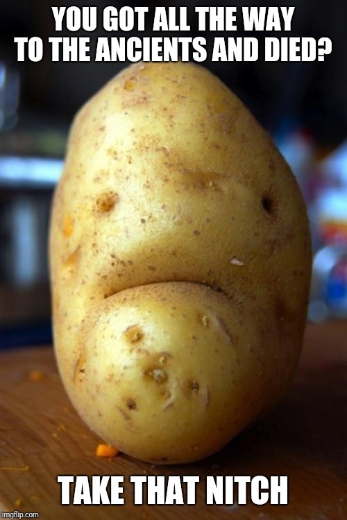 sad potato | YOU GOT ALL THE WAY TO THE ANCIENTS AND DIED? TAKE THAT NITCH | image tagged in sad potato | made w/ Imgflip meme maker